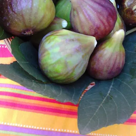 Retrò Cefalù